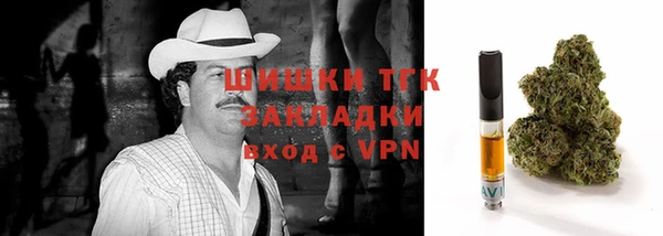 индика Абаза