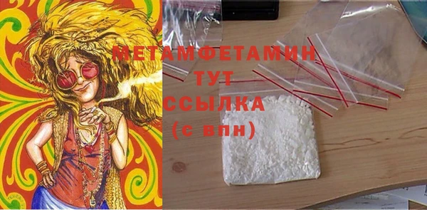 индика Абаза