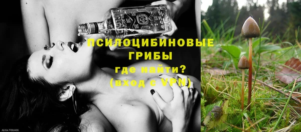 бошки Абинск