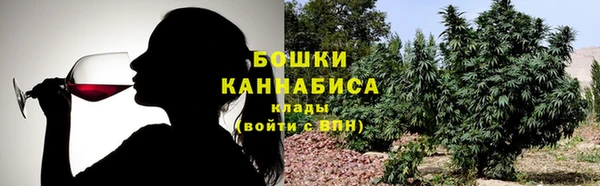 индика Абаза