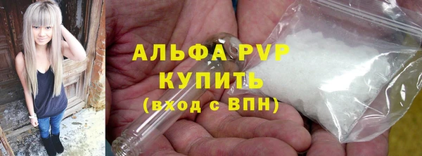 индика Абаза