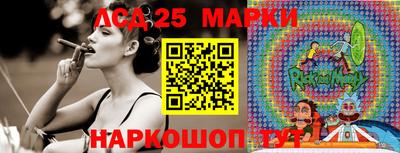 индика Лесосибирск