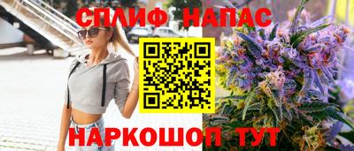 индика Лесосибирск