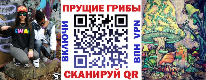 ссылка на мегу   Грозный  Псилоцибиновые грибы Psilocybe  купить закладку 