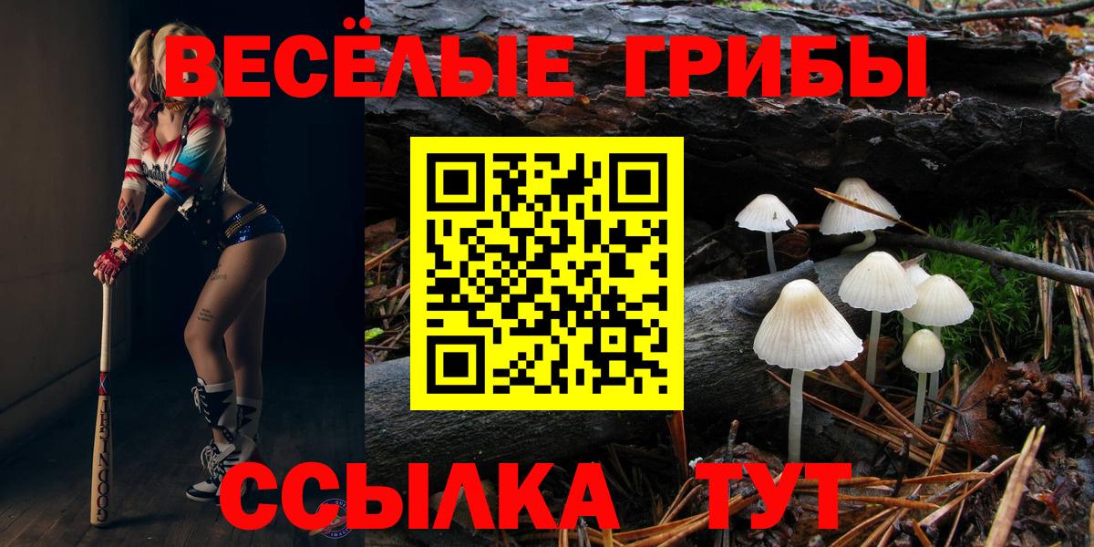 Галлюциногенные грибы Cubensis  Вход с VPN  Галлюциногенные грибы Psilocybe  Грозный 