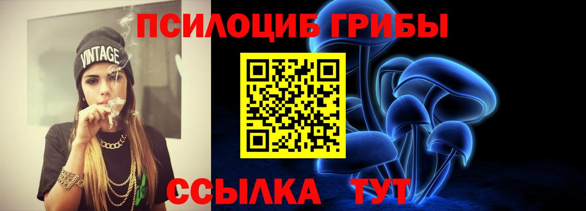 Галлюциногенные грибы Psilocybine cubensis Грозный
